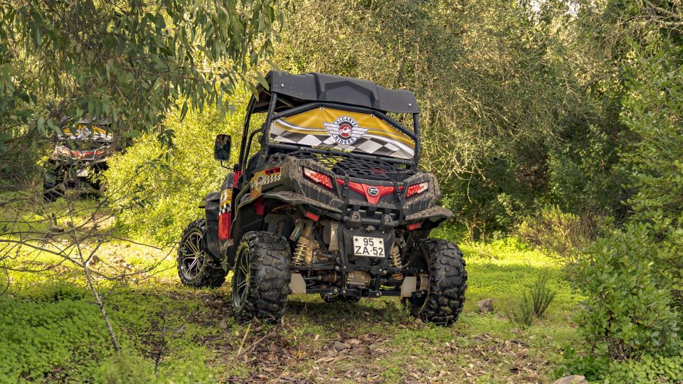 Albufeira: Off-Road Buggy Adventure - Customer Reviews