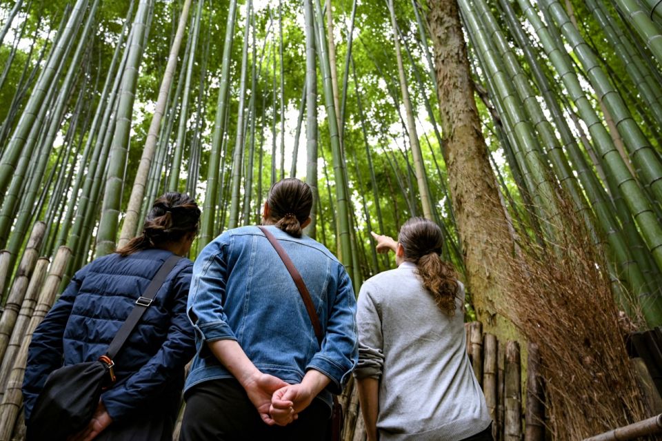 Arashiyama: Bamboo Grove and Temple Tour - Booking Information