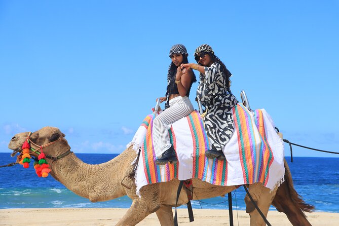 Beach UTV & Camel Ride COMBO in Cabo by Cactus Tours Park - Special Offers