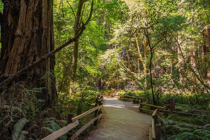 Bike the Golden Gate Bridge and Shuttle Tour to Muir Woods - Tour Maximum Capacity