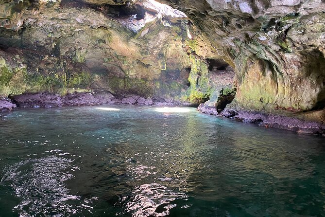 Boat Excursion to Polignano a Mare Between Caves and Coves - Copyright and Legal Information