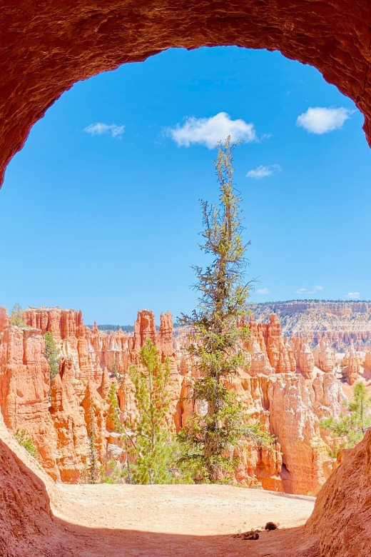 Bryce Canyon National Park: Guided Hike and Picnic - Common questions