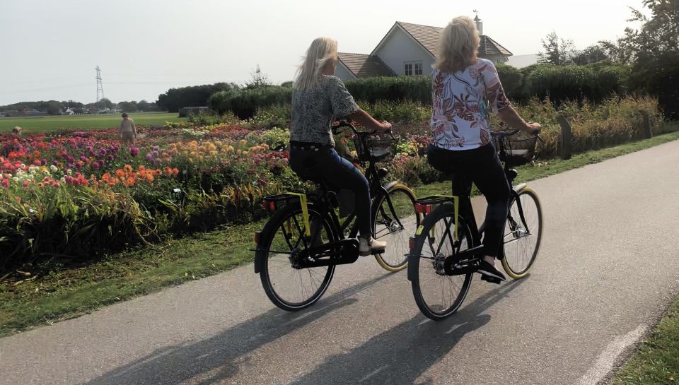 Bulb Region: Dahlias and Mills Bicycle Tour - Additional Experience Information