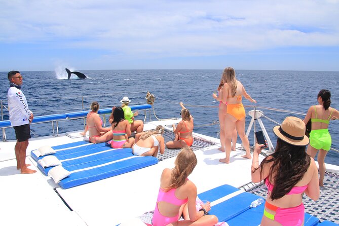 Cabo San Lucas All-Inclusive Private Catamaran Snorkeling Cruise - Viator Booking Details