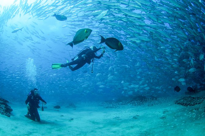 Cabo San Lucas PADI Open Water Certified Diver Course - Certification Process Details