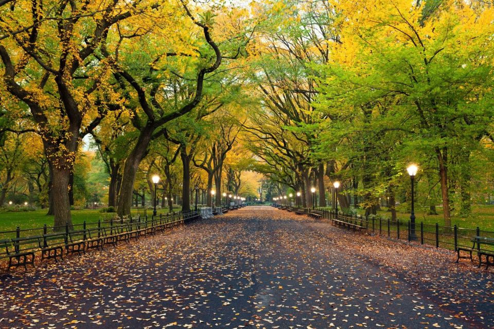 Central Park NYC: First Discovery Walk and Reading Tour - Important Information