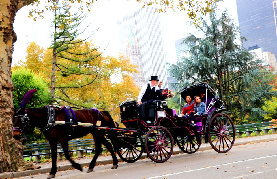 Central Park: Short Horse Carriage Ride (Up to 4 Adults) - Availability and Cancellation