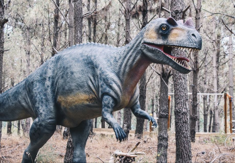 Dinosaurs Park - Family Half Day Tour - Booking Information