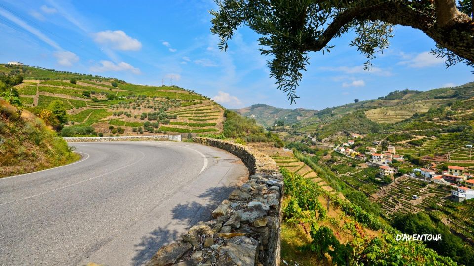 Discover Authentic Douro With Daventour - Common questions