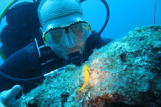 Discovery Scuba Diving Taormina & Isola Bella - Refreshments and Relaxation