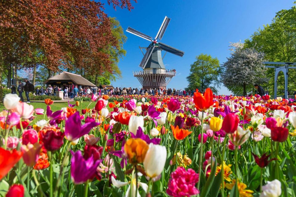 Fast Track Keukenhof Gardens From Amsterdam by Private Car - Final Words