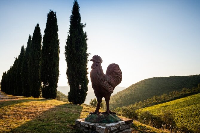 Florence Small-Group Winery and Lunch Morning Tour - Itinerary