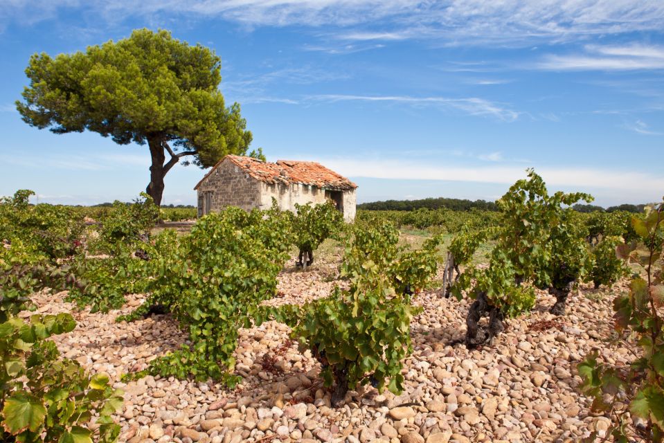 From Aix-En-Provence: Châteauneuf Du Pape Wineries Day Trip - Directions