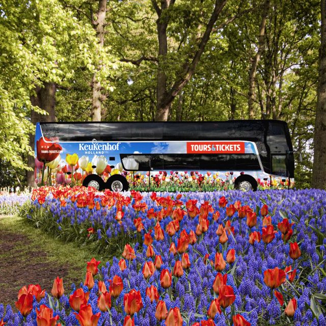 From Amsterdam: Keukenhof Flower Park Transfer With Ticket - Participant Selection