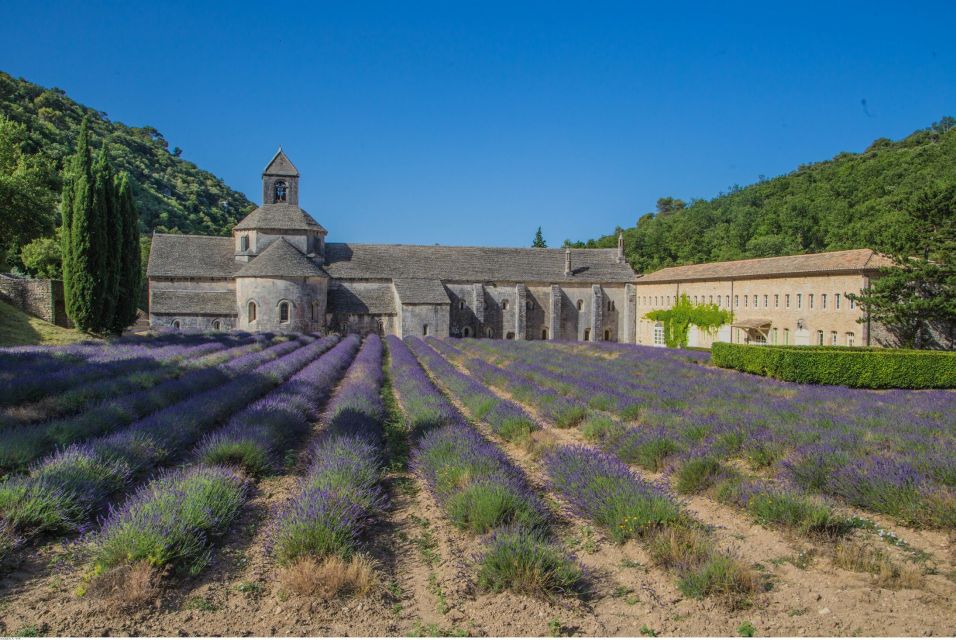 From Avignon: Half-Day Baux De Provence and Luberon Tour - Important Information for Participants