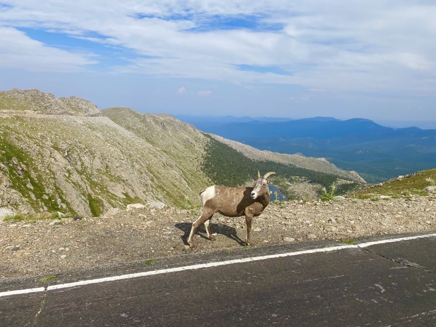 From Denver: Pikes Peak and Garden of the Gods Guided Tour - Directions and Itinerary for the Tour