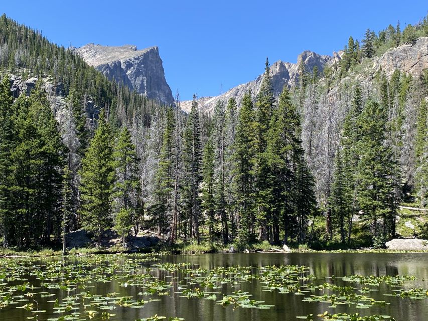 From Denver: Rocky Mountains Jeep Tour With Picnic Lunch - Picnic Lunch Experience