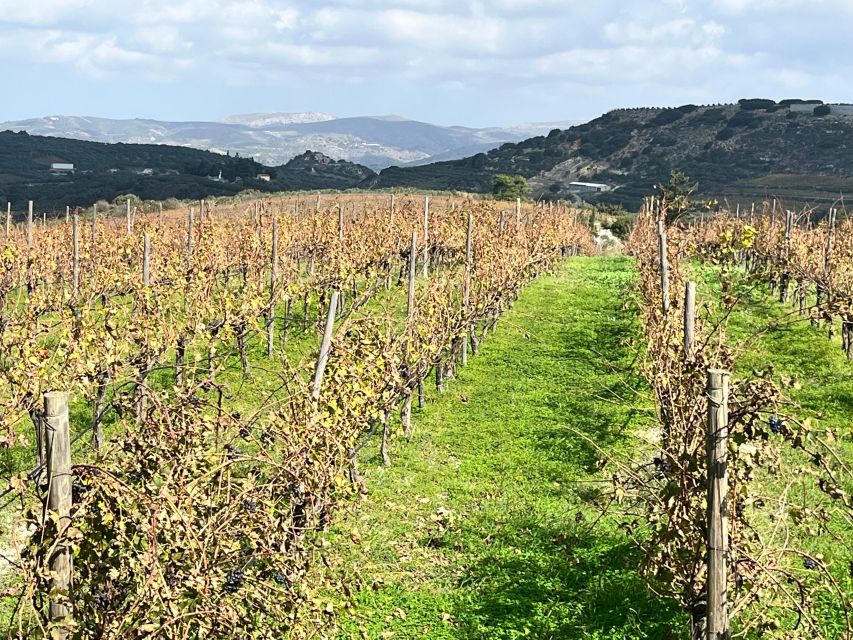 From Heraklion: Wine Tasting Experience @ Lyrarakis Winery - Pricing and Duration