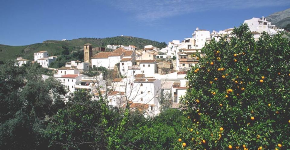 From Marbella: Axarquia Wine Tour With Wine Pairing Lunch - Final Words