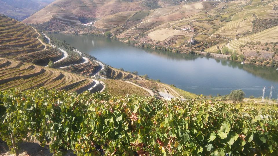 From Porto: Private Douro Valley Tour With Cruise and Wine - Customer Reviews