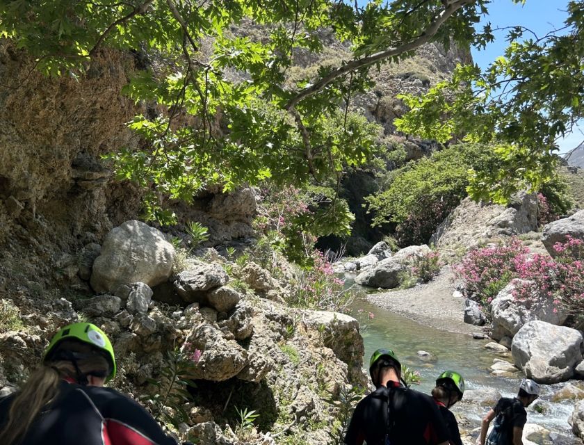 From Rethymno:Exclusive River Trekking - Kourtaliotiko Gorge - Overall Rating