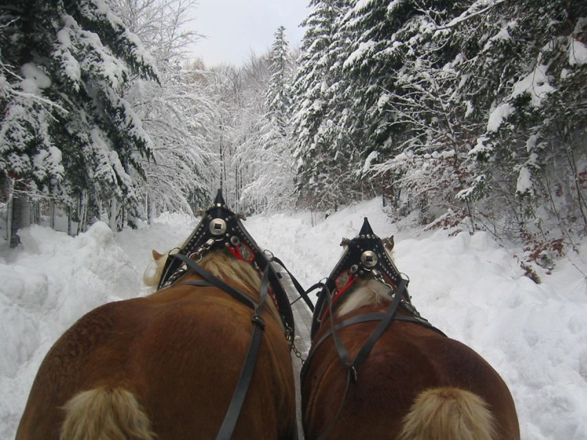 From Salzburg: Romantic Sleigh Ride Through the Countryside - Embrace the Magical Sleigh Ride