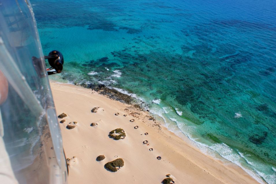 Fuerteventura: Exclusive Private Guided Tour of the North - Common questions
