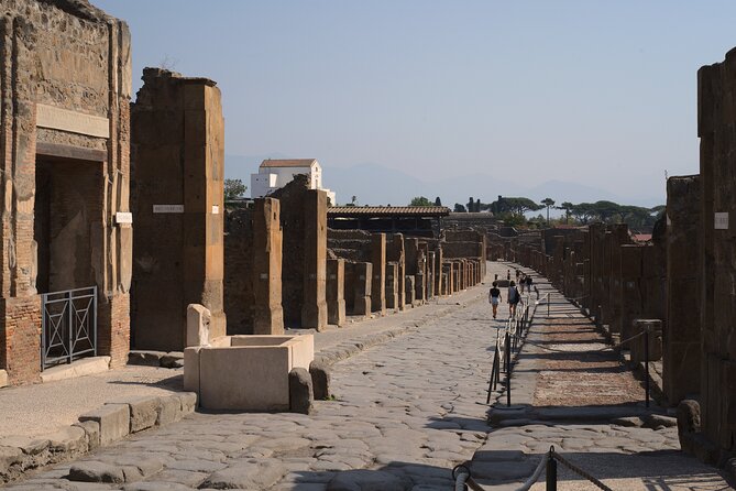 Guided Tour of Pompeii Ruins With Lunch and Wine Tasting - Summary and Future Visits