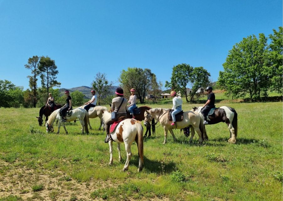 Horse Back Riding + Wine Tasting in the Maures Forest - Common questions