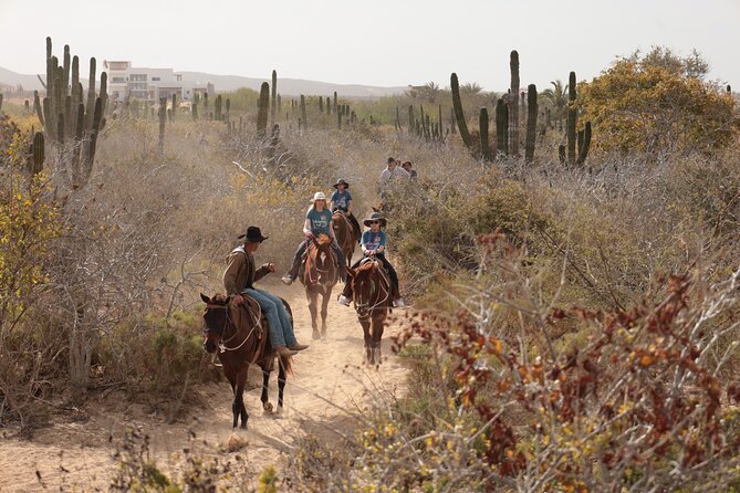 Horseback Riding Tour in Cabo San Lucas - Common questions