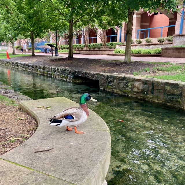 Huntsville: Self-Guided Walking Tour With Audio GPS - Directions