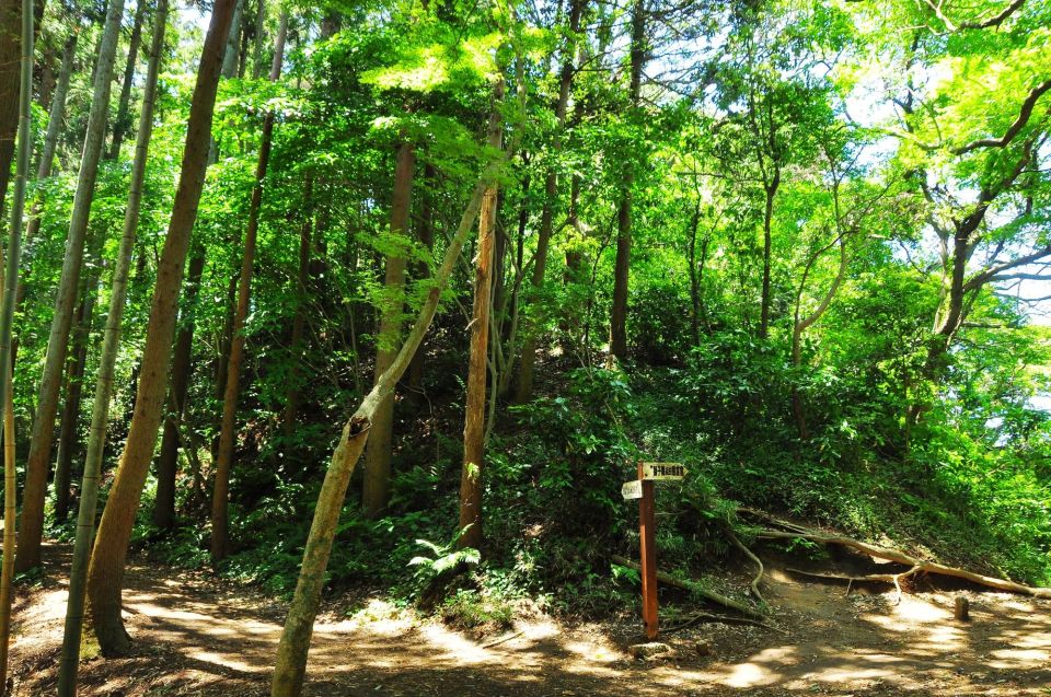 Kamakura Through Time (Hiking, Writing Sutras..) - Professionalism and Recognition by Japanese Government