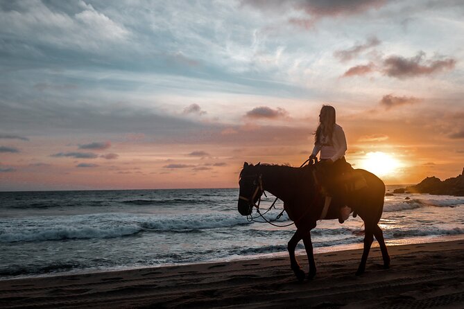 Los Cabos ATV and Pacific Horseback Riding Combo Tour - Final Words