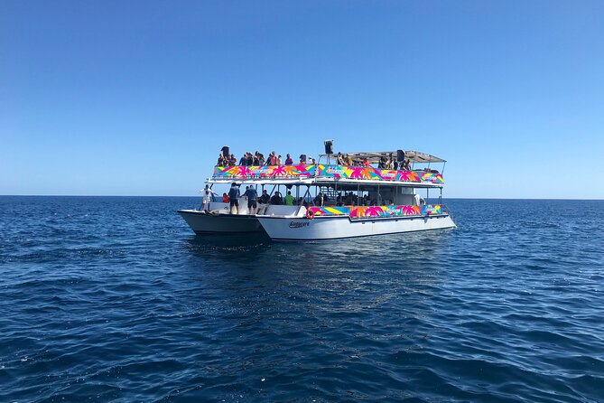 Los Cabos Whale Watching Cruise Including Breakfast - Final Words