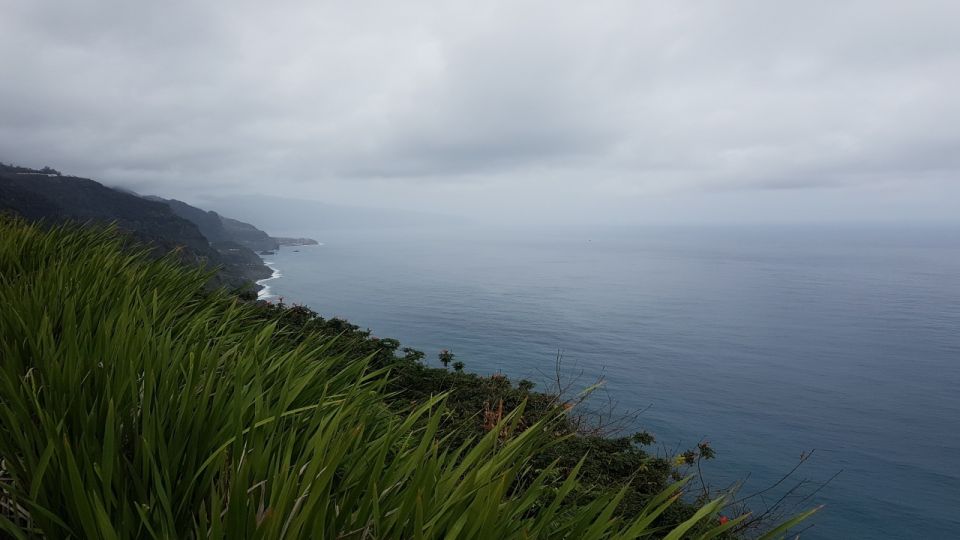 Madeira: Private Half-Day North East Island Tour - Pickup Options