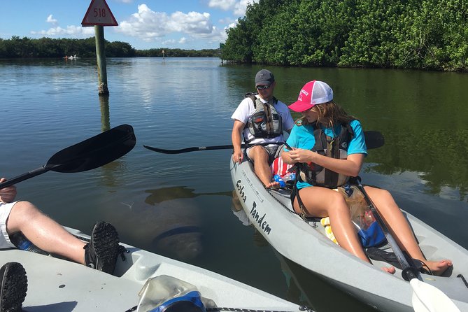 Mangrove Tunnels, Manatee, and Dolphin Sunset Kayak Tour With Fin Expeditions - Customer Testimonials