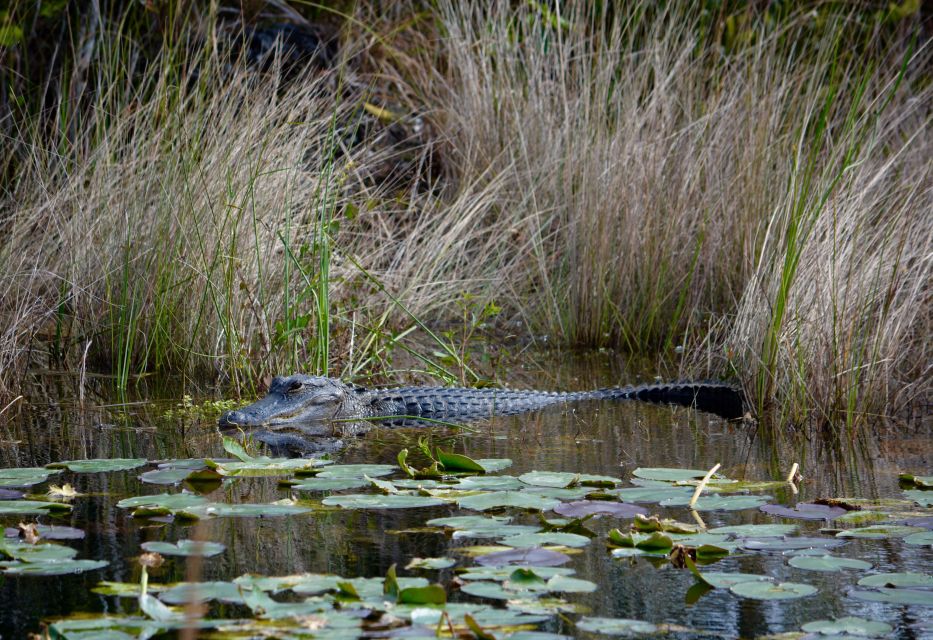 Miami: Everglades River of Grass Small Airboat Wildlife Tour - Directions