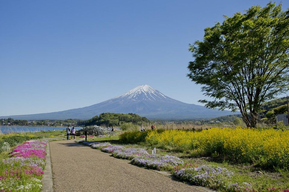 Mount Fuji Full Day Private Tour (English Speaking Driver) - Common questions
