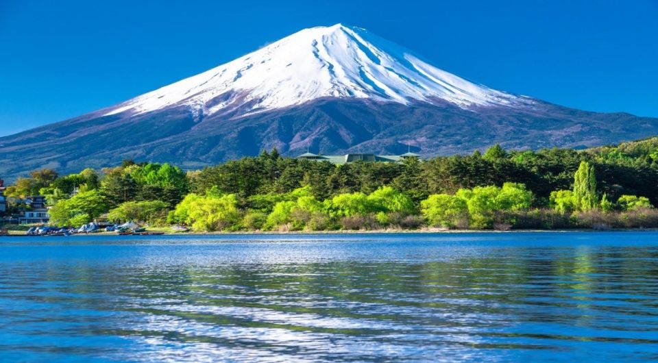 Mount Fuji Panoramic View & Shopping Day Tour - Gotemba Premium Outlets Visit