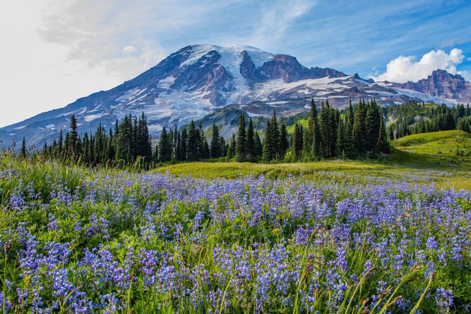 Mount Rainier National Park: Audio Tour Guide - Tour Highlights