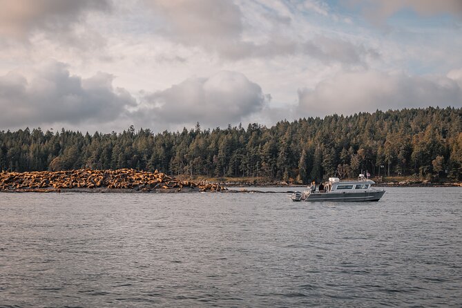 Nanaimo Whale Watching in a Semi-Covered Boat - Cancellation Policy