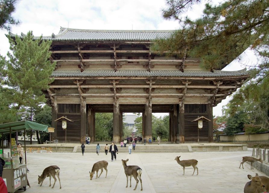 Nara: Audio Guide Delve Into Todai-Ji & Kasuga Taisha - Final Words