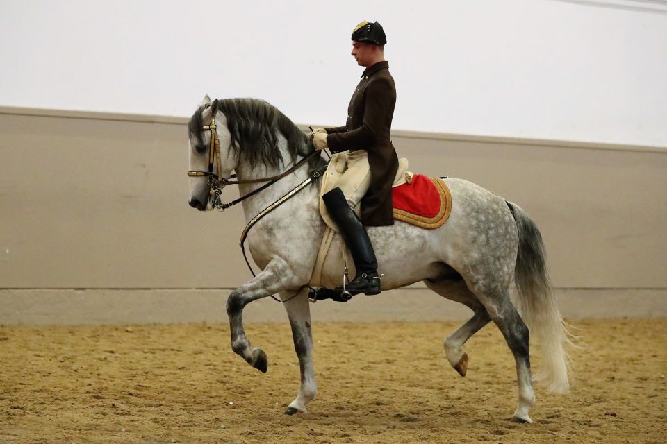 Performance Of The Lipizzans At Spanish Riding School - Common questions
