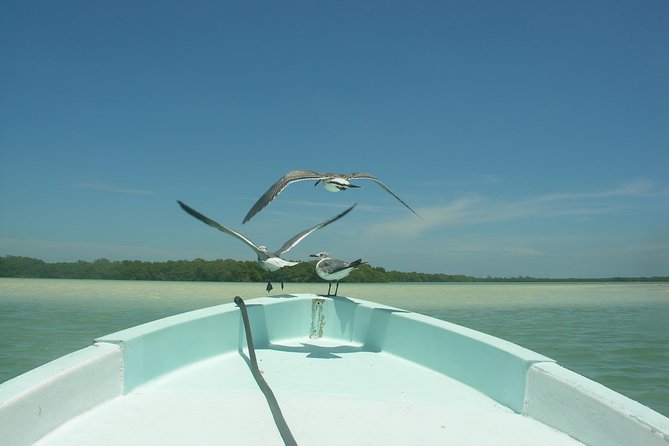 Private Boat to Visit Holbox Surroundings (3-Island Tour) - Memorable Experiences and Tour Highlights