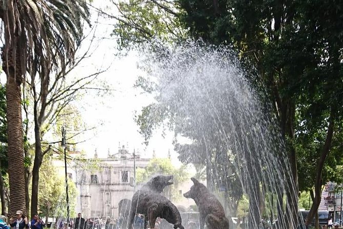 Private Tour: Xochimilco, Coyoacan and Frida Kahlo Museum in Mexico City - Pickup and Hotel Transfer Information