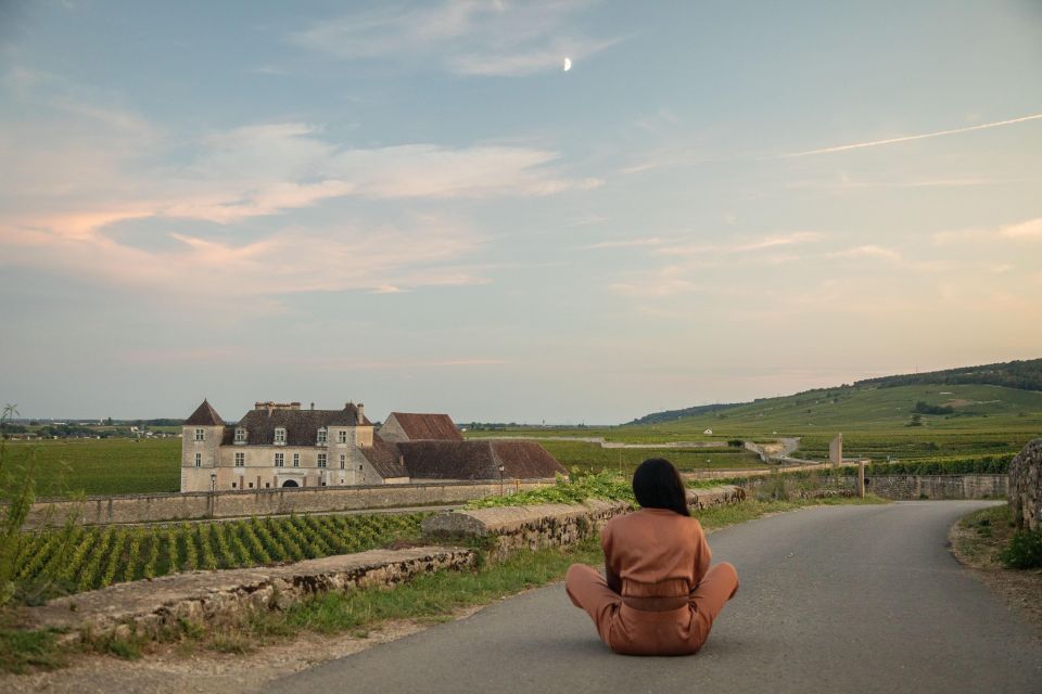 Private Wine Tour in Côte De Nuits and Côte De Beaune - Pickup and Drop-off