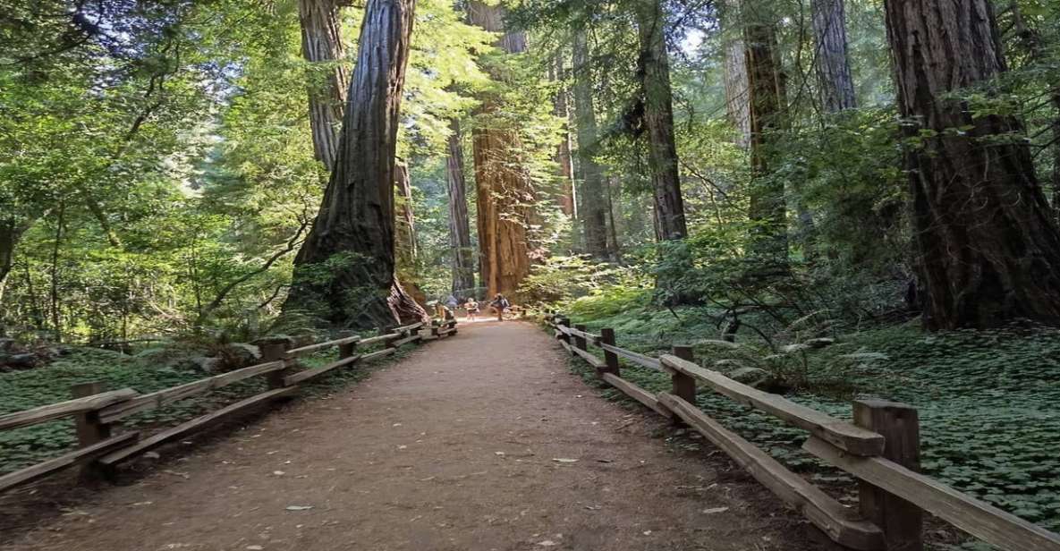 San Francisco: Full-Day City Tour W/ Muir Woods & Sausalito - Booking Information