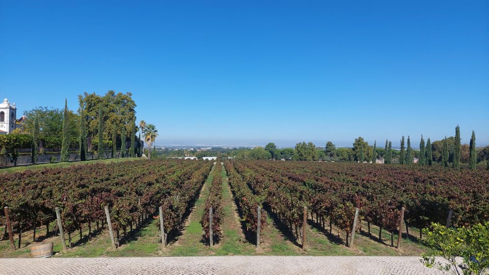 Serra Da Arrábida: Private Tour With Wine Tasting in a Tesla - Highlights