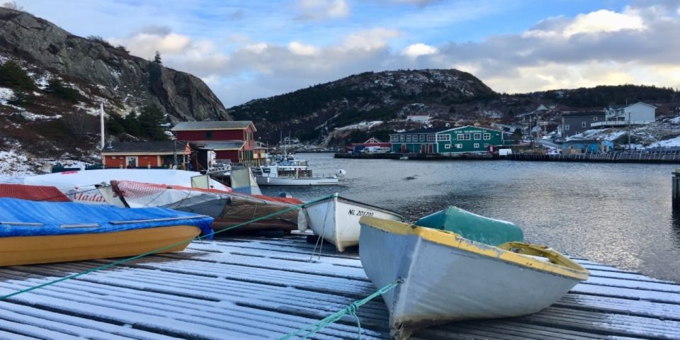 St. John'S: Small Group Tour With Iceberg Quest Boat Cruise - Iceberg Quest Boat Tour Experience