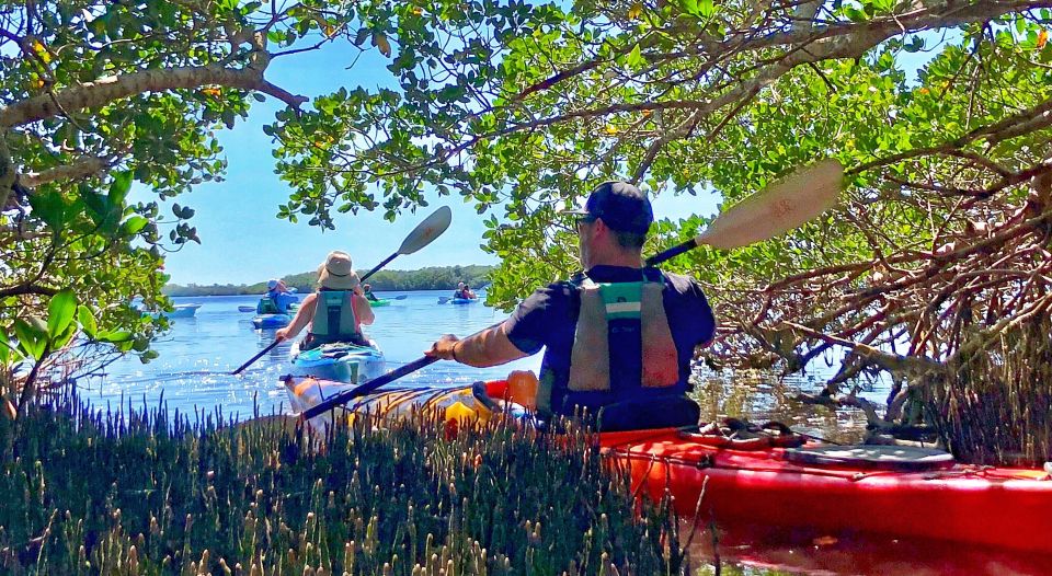 St Pete & St Pete Beach: Coastal Kayak Charters - Customer Review